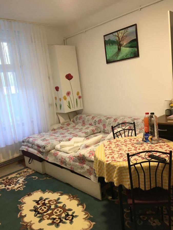 House Centrul Istoric Lejlighed Sibiu Eksteriør billede